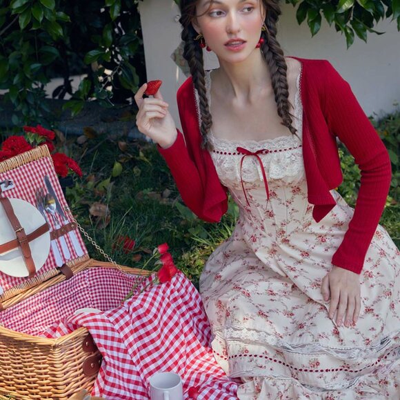 NWT lacemade xs Red Garnet Corset Dress - Picture 2 of 7